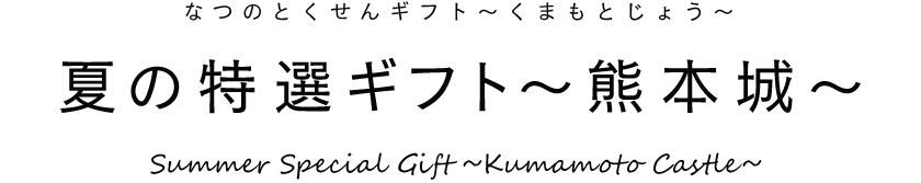 夏の特選ギフト〜熊本城〜